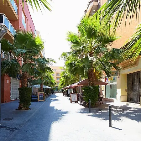 Canonigo Torres Torrevieja